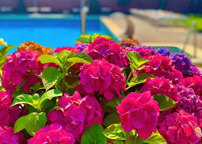 Firenze 3* Abano Terme