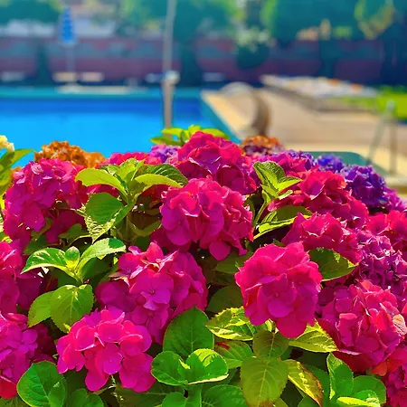 Firenze 3* 阿巴诺泰尔梅